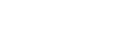 EventoVirtual_Logo_Negativo